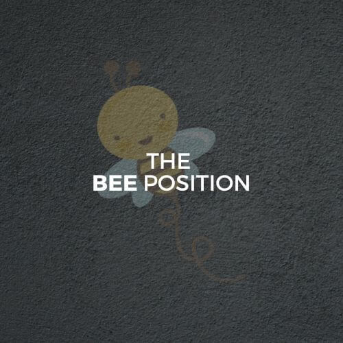  In this article, we'll explore what the Bee position is, its possible variants, and the pros and cons of this position. We'll also look at some of the best sex toys for the Bee position.