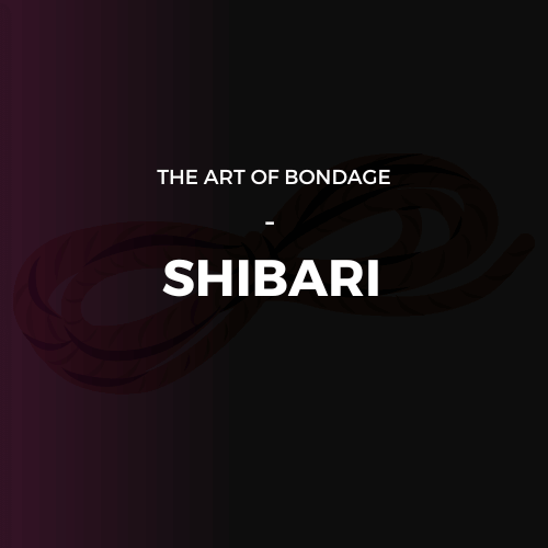 THE ART OF SHIBARI