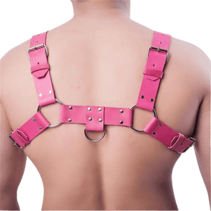 This Harness will make you really sexy. It is easily adjustable and you can also use the ring to let you lock or pull.  DISCREET PACKAGING Material: PU Leather Measures: Adjustable, Fits great with most sizes